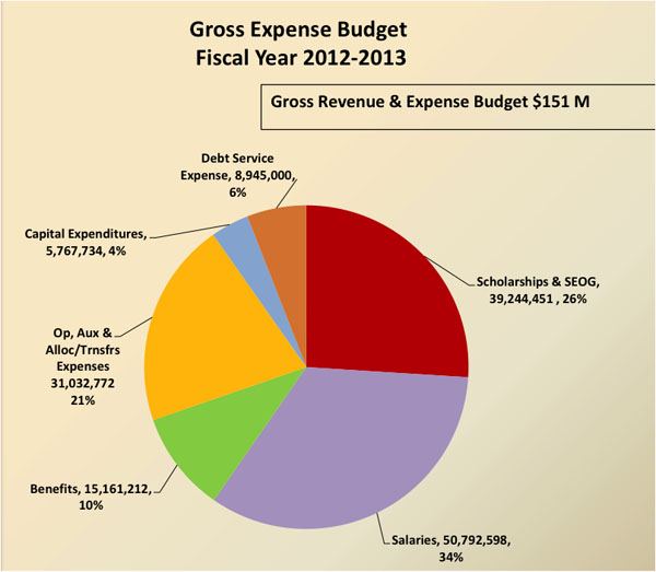 A Deeper Look into Dickinsons Budget