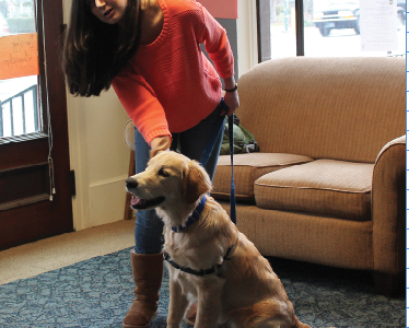 Dino the Dog Delights Dickinson