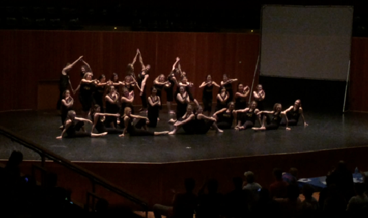 Students from various clubs performed on stage to raise money for Reading is Fundamental.