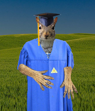 Admissions Decides to Accept Squirrels to Dickinson Class of 2020
