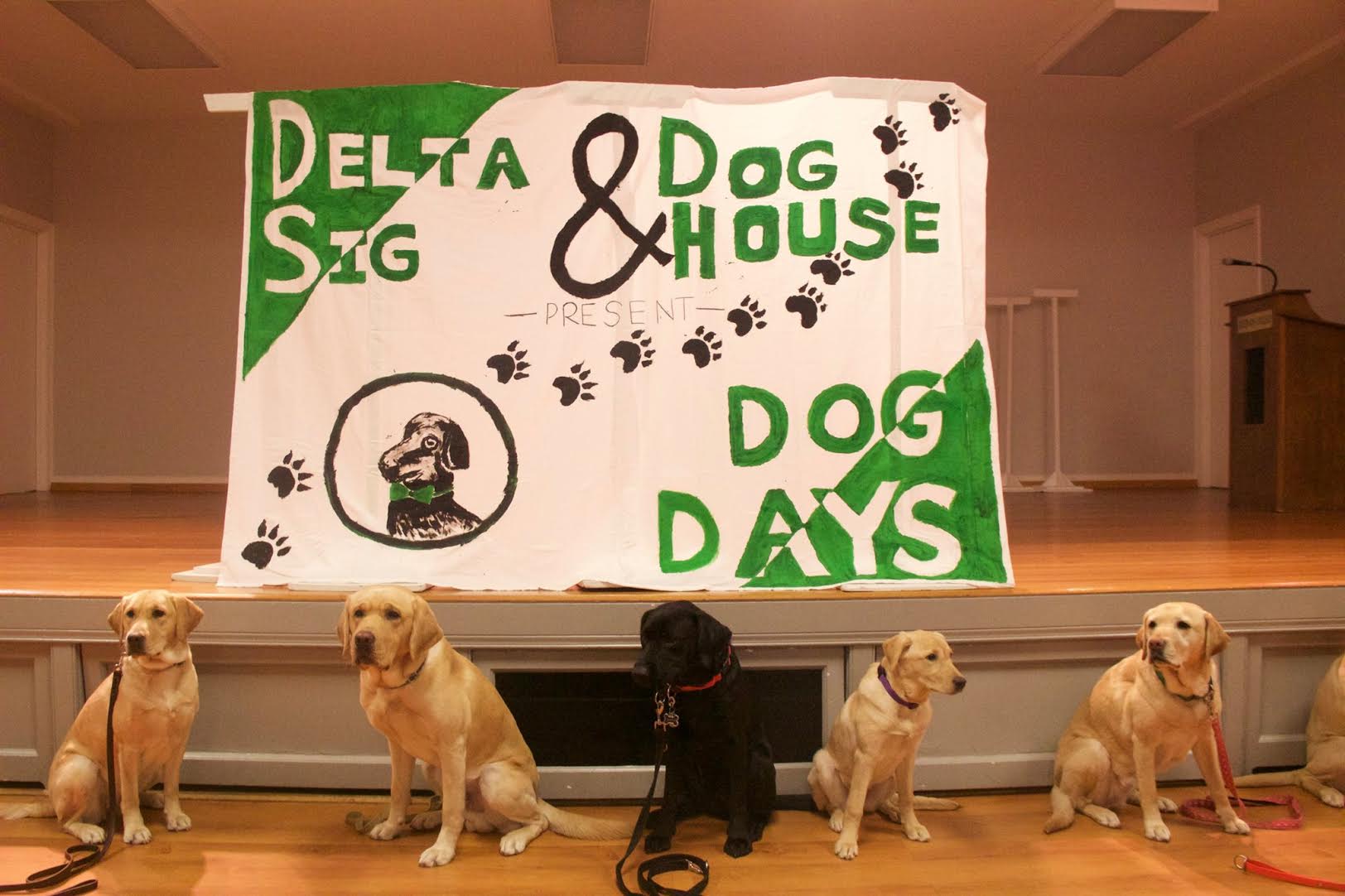 “Dog Days” hosted by fraternity Delta Sigma Phi took place last Sunday, April 2.