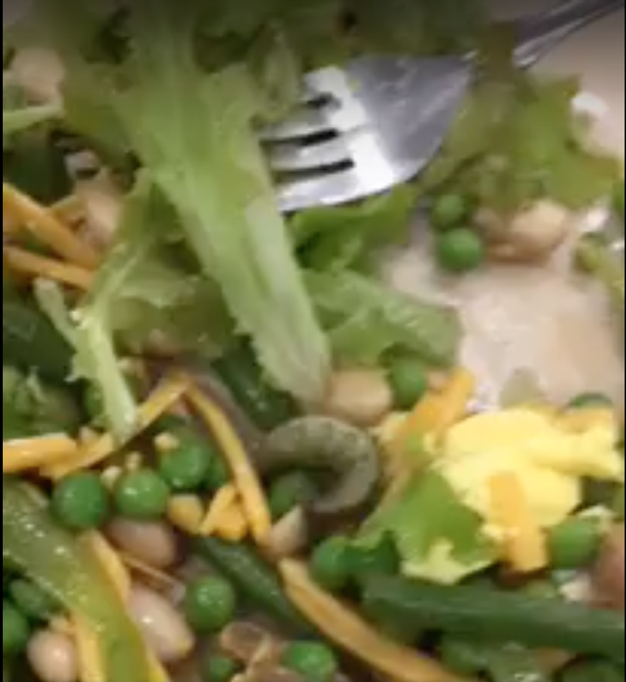 A caterpillar was found in Hannah Gore '18'ssalad from the Dining Hall, raising food safety concerns.