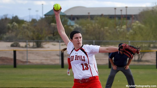 Softball Falls to  Washington College