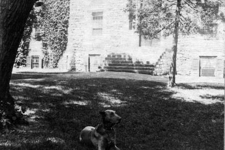 “‘Dick’ back in Carlisle”: Old Dog Mascots Dug Up