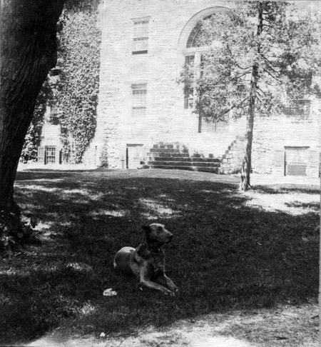 “‘Dick’ back in Carlisle”: Old Dog Mascots Dug Up