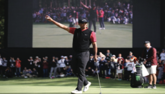 Forever a Champion: Tiger Woods