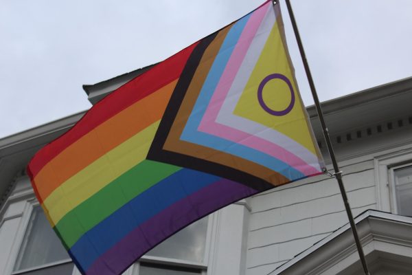 Landis’ pride flag disappears, crime “does not deter us”