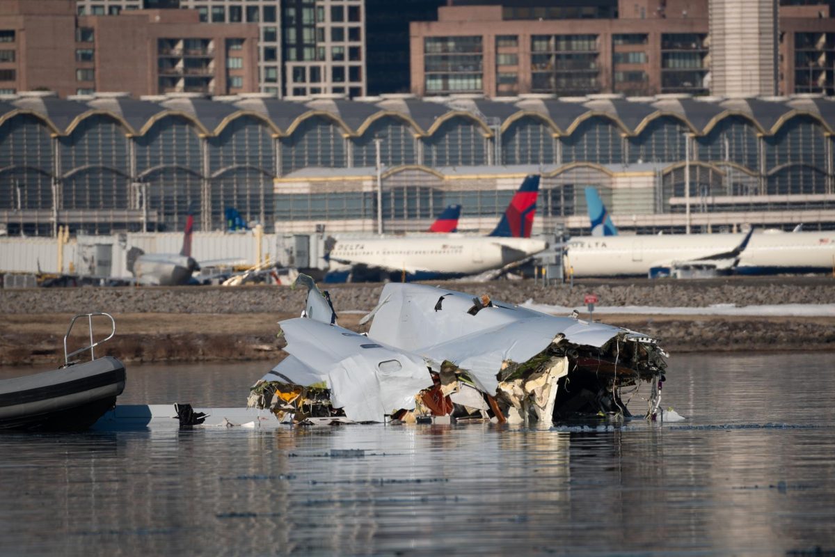 How do people react to plane crashes?