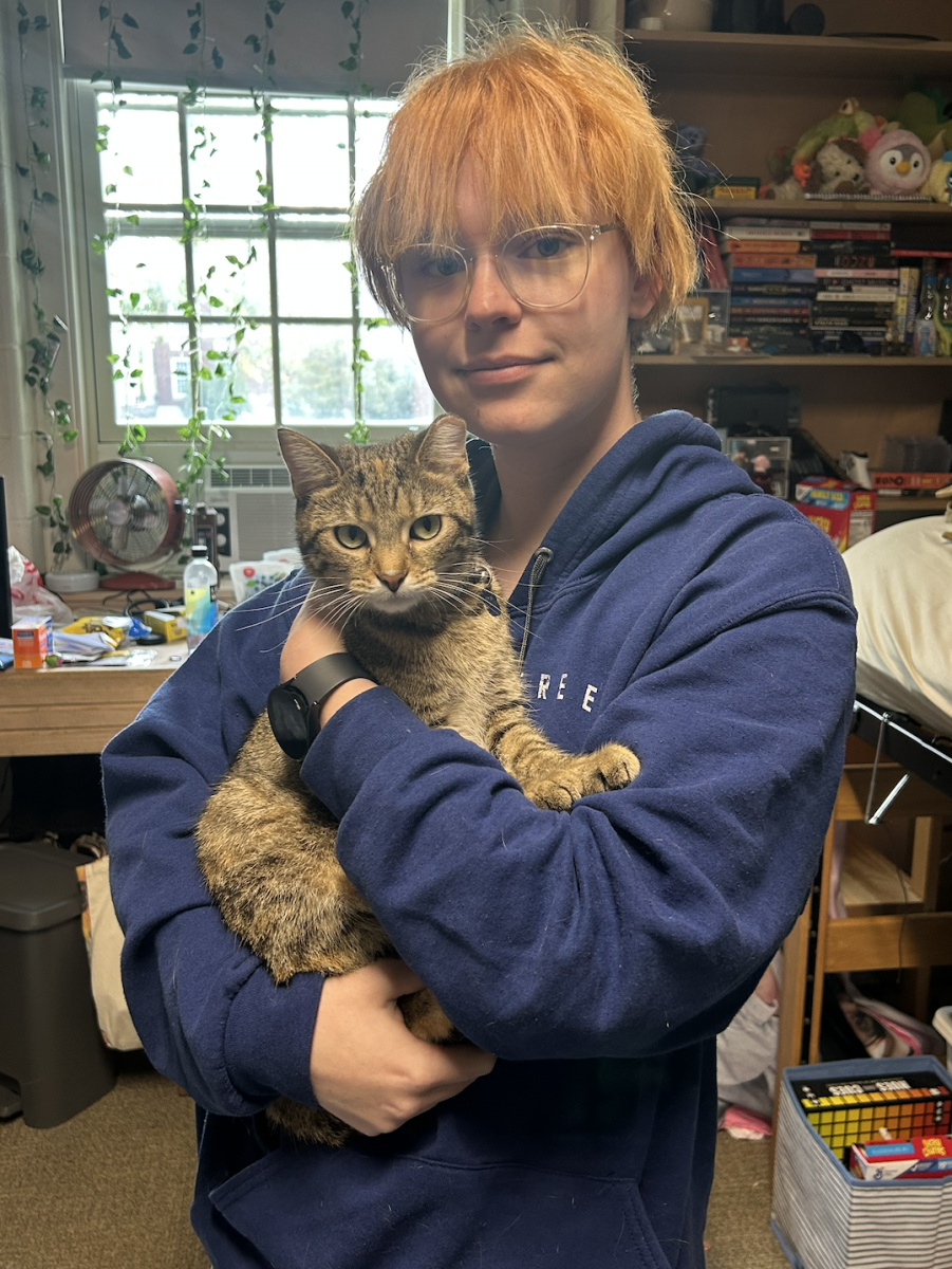More than just a pet: emotional support animals on campus
