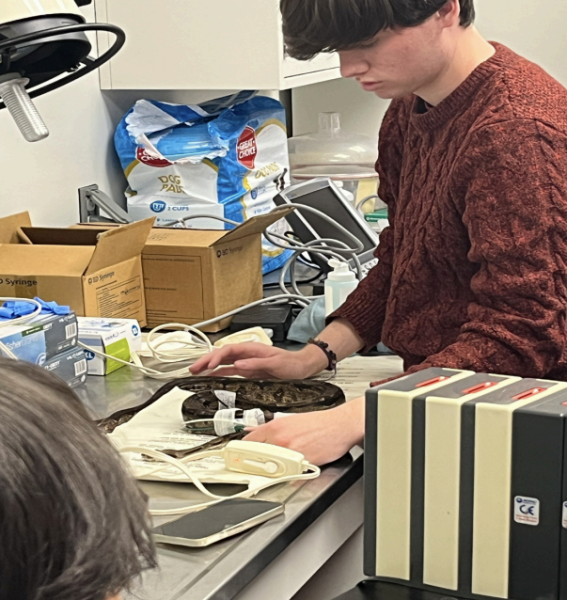 Beyond the textbook: students join biology faculty to pursue groundbreaking discoveries